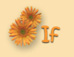 If